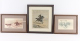 Collection 3 Prints