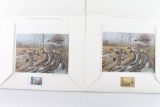 Lot Of Two Collector Stamp Duck Prints