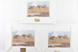 Lot Of Three Conservation Duck Stamp Prints