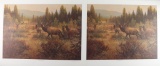 Lot Of Two Fine Art Prints
