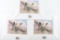 Lot of 3 Waterfowl Habitat Duck Stamp Prints