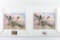 Lot Of Two Waterfowl Habitat Duck Stamp Prints