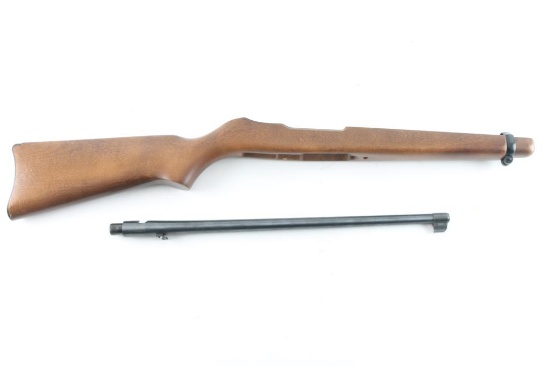 Ruger 10/22 Magnum Stock & Barrel