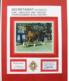 Secretariats Authentic Horse Hair