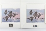 2 Migratory Bird & Conservation Duck Stamp Prints