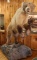 Fully Mounted Brown Bear
