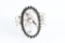 Wild Horse White Buffalo Cuff