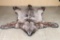 Wolf Rug