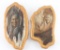 Lot Of Original Rock Paintings