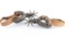 Pair of Mexican Spurs