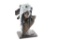 Indian Statue and Antler Dream Catcher