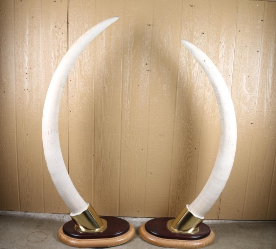 Pair of PRE BAN Elephant Ivory Tusks