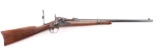 H&R Model 1873 