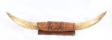 Steer Horn Mount