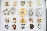 Lot of Badges and Pins