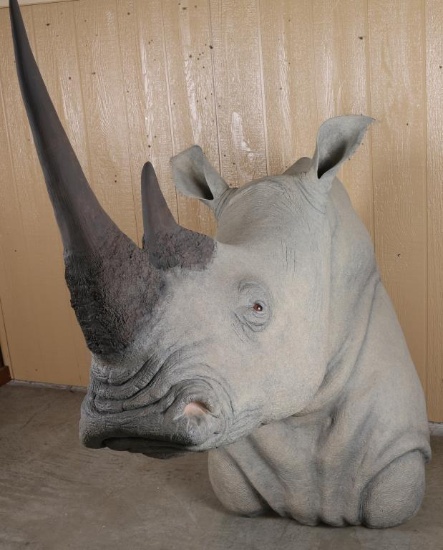 African Black Rhino Fiberglass Mount