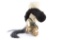 French 1st Empire Imperial Guard Dragoon Helmet