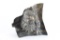 Fine Art Bronze