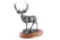 Fine Art Bronze