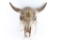 Sioux Painted Buffalo Skull