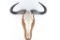 Water Buffalo Skull Wall Mount