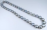 Gorgeous Natural Saltwater Blue Gray