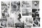 Lot of Film Photos