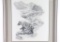 Original Pencil Drawing