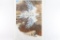 Bev Doolittle Fine Art Print