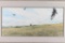 Original Water Color