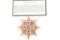Our Lady of Guadalupe Breast Star