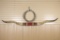 Longhorn Steer Horns