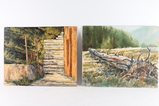 Lot of 2 Originals on Board