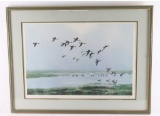 Fine Art Print