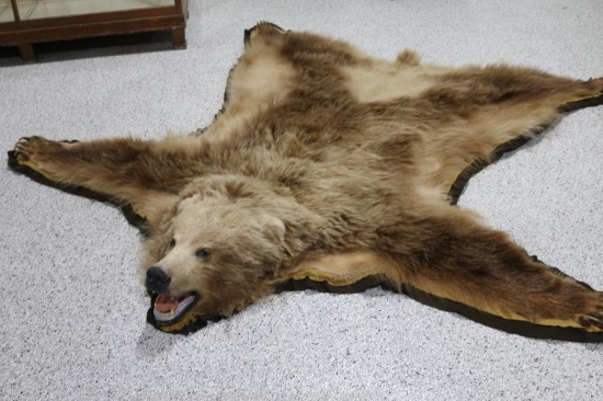 Bear Rug
