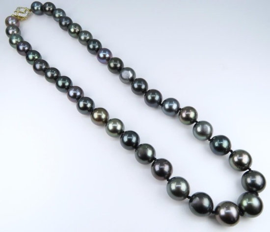 Luxurious Fine Quality Large Tahitian