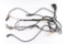 Horsehair Bridle With Crockett Bit.