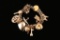 14kt Gold Charm Bracelet.