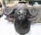 Taxidermy Cape Buffalo Mount