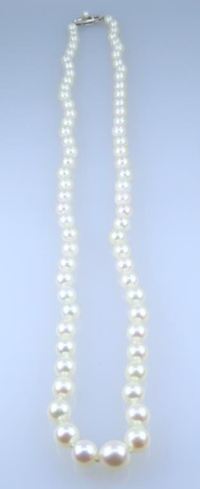 Exquisite Authentic Vintage Mikimoto Pearl