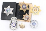 Lot of 8 Badges