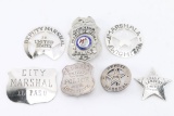 Lot of 7 Badges