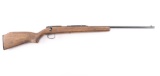 Remington 580 .22 S/L/LR SN: 1169023