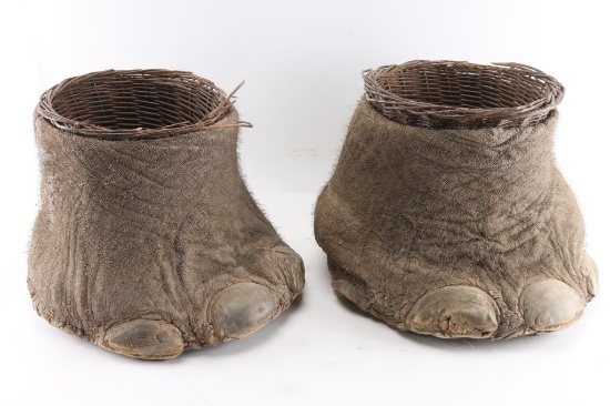 Elephant foot baskets