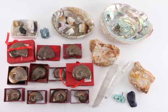 Collection of Crystals and Fossils
