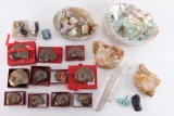 Collection of Crystals and Fossils