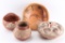 Hopi Pottery Bowl and Others.