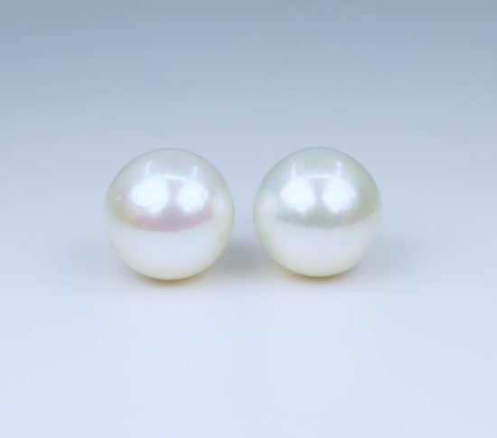 Luxurious Extra Large Fine Quality South Sea