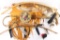 Lot of Native Design Wall Decor.