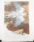 17 Signed/Numbered Bev Doolittle Prints.